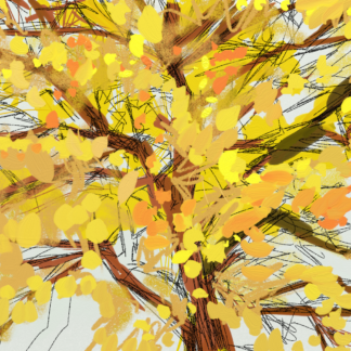 Autumn Tree
