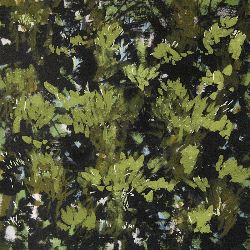Native Bush