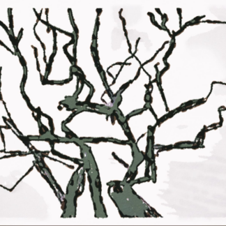 I am a tree